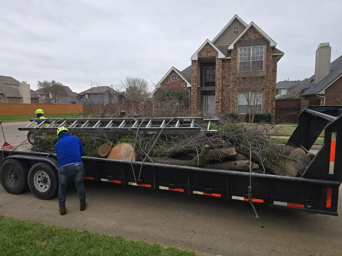 Expert Tree Pest Control with proper safety equipment in Alto